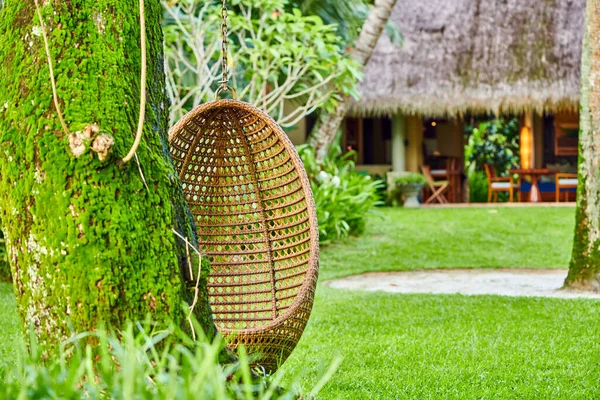 Beach Swing Ägg Stol Mahe Seychellerna — Stockfoto