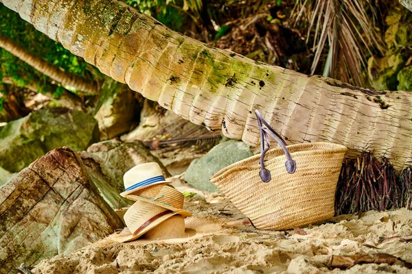 Strandtas Hoeden Bij Palmboom Bij Mahe Seychellen — Stockfoto
