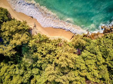Palmiye ağaçlarıyla güzel bir sahil. Gökyüzü manzaralı İHA 'lar Seyşeller' e ateş ediyor Mahe.