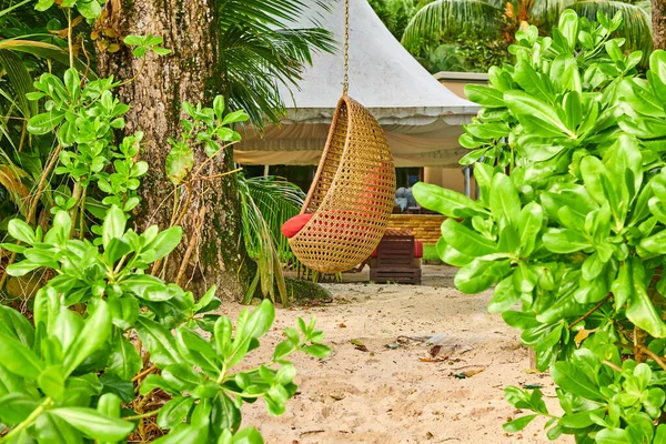 Sedia Spiaggia Swing Uovo Mahe Seychelles — Foto Stock