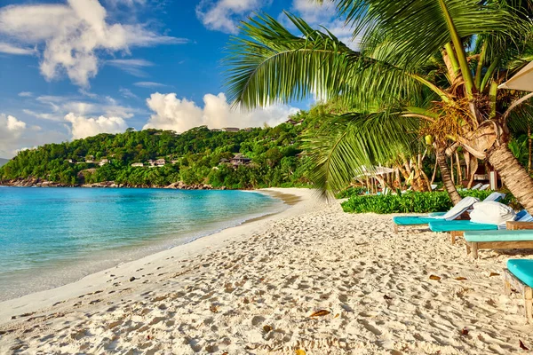 Vacker Petite Anse Strand Med Palm Vid Seychellerna Mahe — Stockfoto