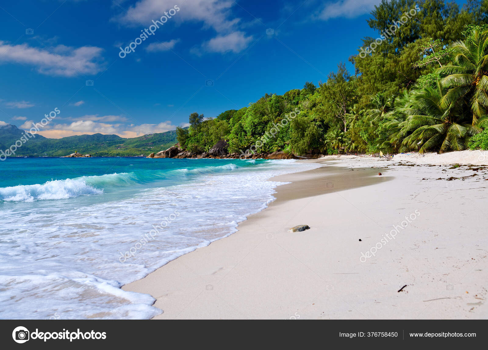 Пляж Anse Soleil Пальмой Сейшелах Маэ стоковое фото ©haveseen 376758450