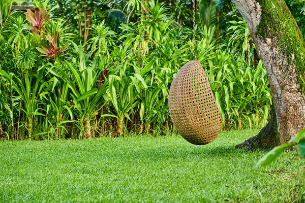 Beach Swing Egg Chair Mahe Seychelles — Stock Photo, Image