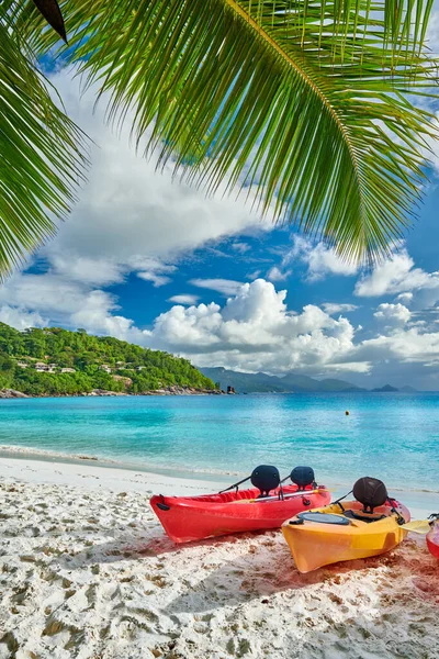 Praia Petite Anse Bonita Com Caiaques Palmeira Seychelles Mahe — Fotografia de Stock