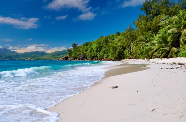 Vacker Strand Anse Soleil Med Palm Vid Seychellerna Mahe — Stockfoto