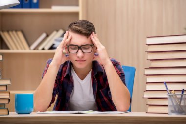 Okul sınavlarına hazırlanan genç bir öğrenci.