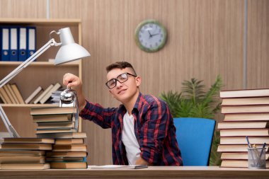 Okul sınavlarına hazırlanan genç bir öğrenci.