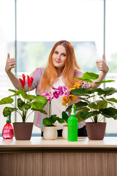Redhead woman taking care of plants at home