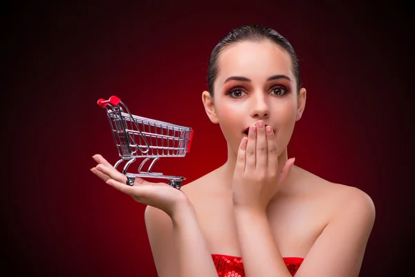 Žena s nákupním košíku červené pozadí — Stock fotografie