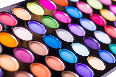 Sanatçı palet üzerinde beyaz izole