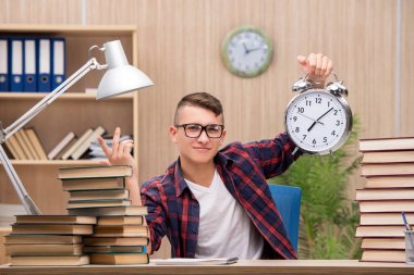 Okul sınavlarına hazırlanan genç bir öğrenci.