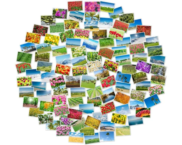 Varias fotos de la naturaleza dispuestas en marco redondo — Foto de Stock