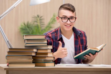 Okul sınavlarına hazırlanan genç bir öğrenci.