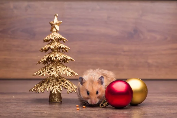 Cute hamster with santa hat on the table — Stock Photo, Image
