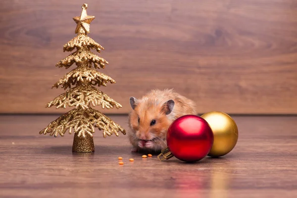 Cute hamster with santa hat on the table — Stock Photo, Image