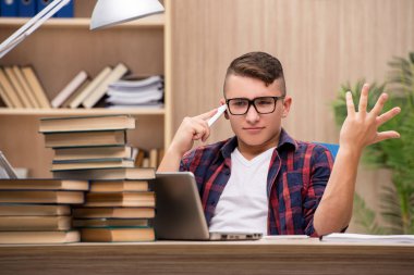 Okul sınavlarına hazırlanan genç bir öğrenci.