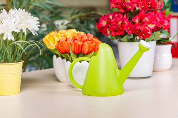 Vari fiori disposti in vasi di fiori a hme — Foto Stock