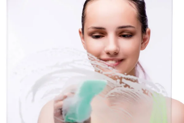 Young housewife in cleaning concept — Stock Photo, Image