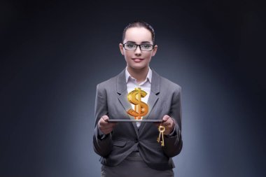 İşkadını dolar iş kavramı ile