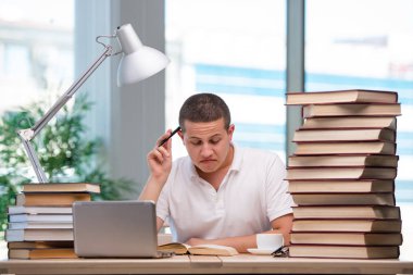 Okul sınavlarına hazırlanan genç bir öğrenci.