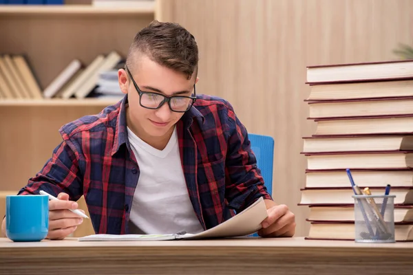 Jovem estudante se preparando para os exames escolares — Fotografia de Stock