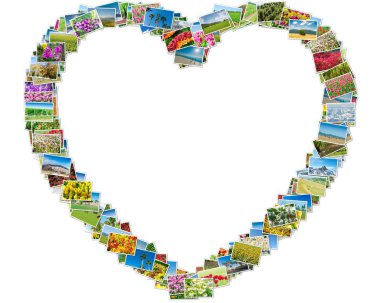 Kalpli çerçeve içinde düzenlenmiş çeşitli doğa fotoğrafları