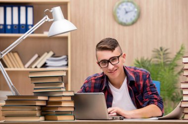 Okul sınavlarına hazırlanan genç bir öğrenci.