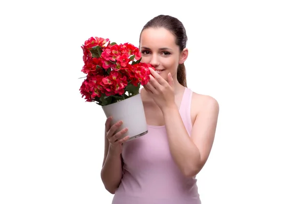 Frau mit Topf voller roter Blumen auf weißem Grund — Stockfoto