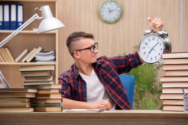 Okul sınavlarına hazırlanan genç bir öğrenci.