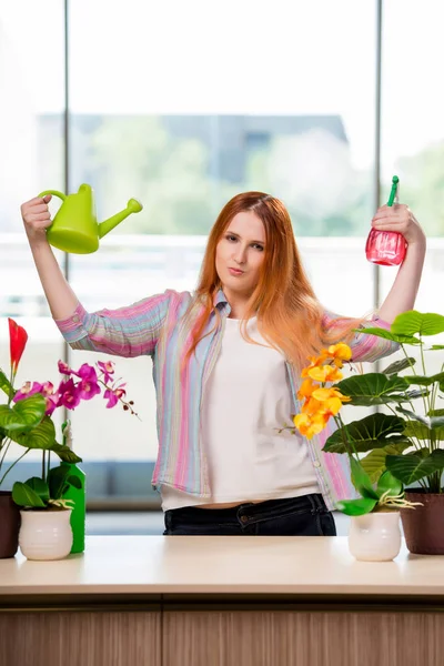 Redhead woman taking care of plants at home — Stock Photo, Image