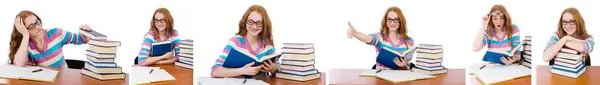 Young student with books isolated on white — Stock Photo, Image