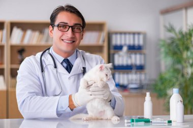 Beyaz yavru kedi kadar onay için veteriner ziyaret