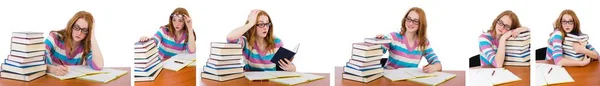 Joven estudiante con libros aislados en blanco — Foto de Stock