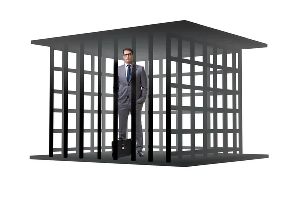 Affärsman i buren isolerad på vit — Stockfoto