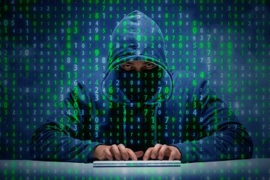 Veri güvenliği konseptinde genç bir hacker