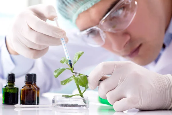 Koncepcja biotechnologii z naukowcem w laboratorium — Zdjęcie stockowe
