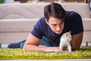 Yakışıklı delikanlı beyaz yavru kedi ile oynarken
