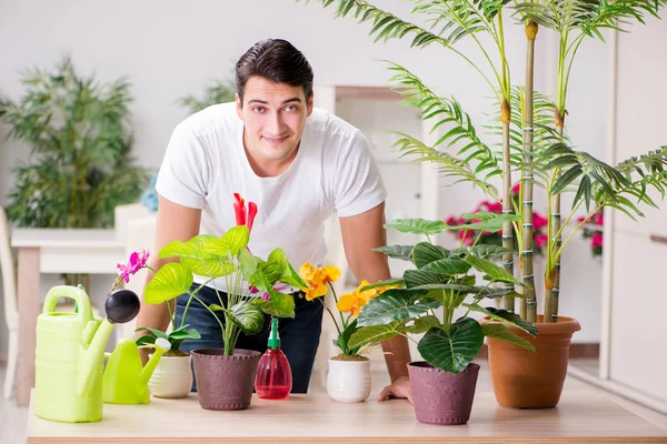 Uomo che si prende cura delle piante a casa — Foto Stock