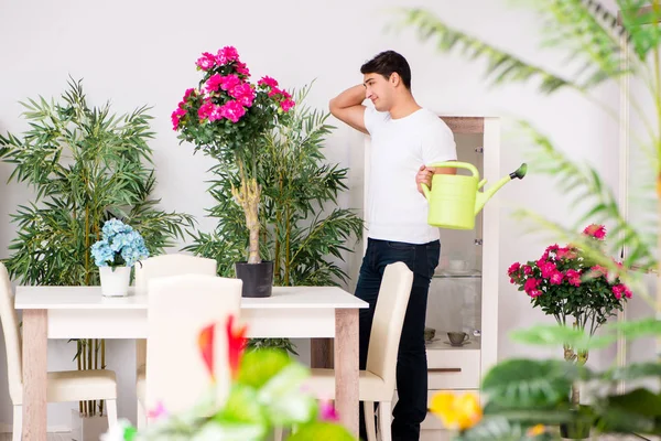 Мужчина ухаживает за растениями дома — стоковое фото