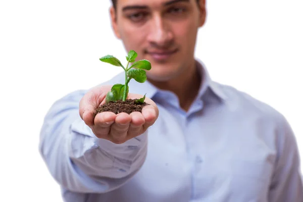 Man holding green seedling isolated on white — Stock Photo, Image