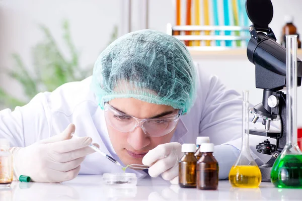 Concepto de la industria farmacéutica con científico en el laboratorio —  Fotos de Stock