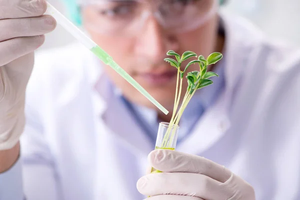 Biotechnology concept with scientist in lab — Stock Photo, Image