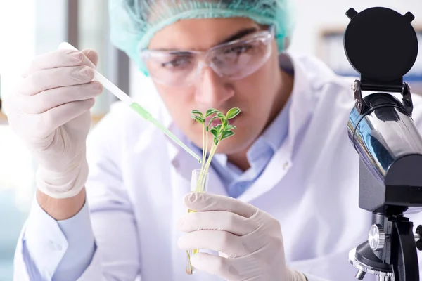 Biotechnologie-Konzept mit Wissenschaftlern im Labor — Stockfoto