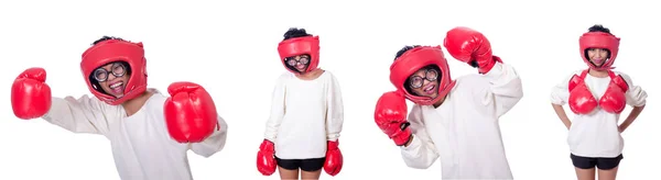 Boxer drôle isolé sur blanc — Photo