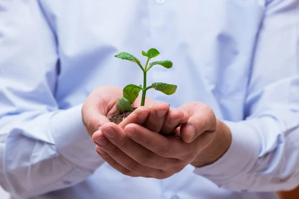 Mann hält grünen Sämling isoliert auf weißem Grund — Stockfoto