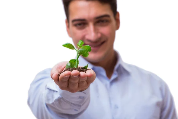 Mann hält grünen Sämling isoliert auf weißem Grund — Stockfoto