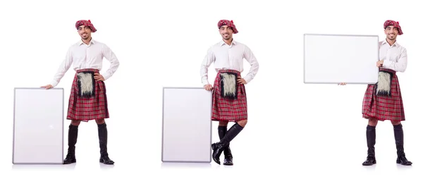 Шотландець з порожньою дошкою на білому — стокове фото