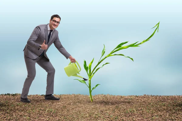 Geschäftsmann in neuem Geschäftskonzept — Stockfoto