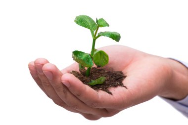 El fide yeni yaşam konsepti üzerine beyaz holding