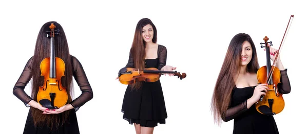 Joven intérprete con violín sobre blanco —  Fotos de Stock